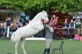 Laurent Galinier „Andaji“ - Spectacle Equestre   (Foto: Dr. Thomas Bachmann)