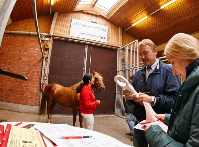 Klaus Biedenkopf und Bianca Grom bei der Arbeit   Foto: Joachim Hecker