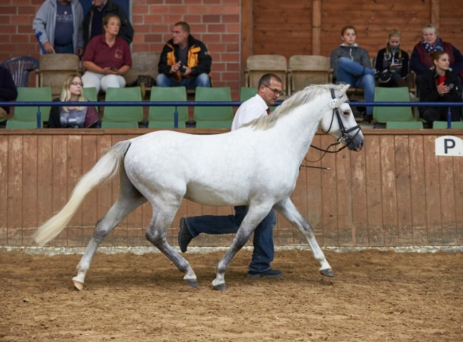 Mahrdorf Graffiti  Foto: Joachim Hecker