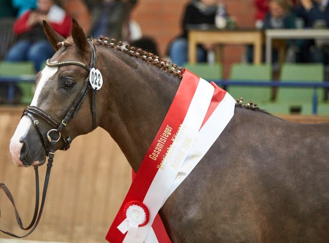 Numerus Clausus   Foto: Joachim Hecker