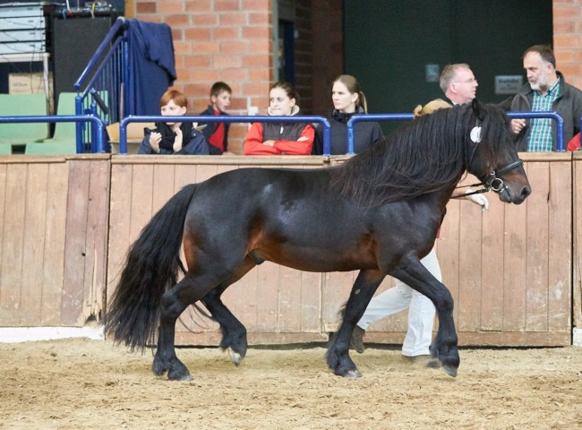 Breuerberg Karl Arthur   Foto: Joachim Hecker