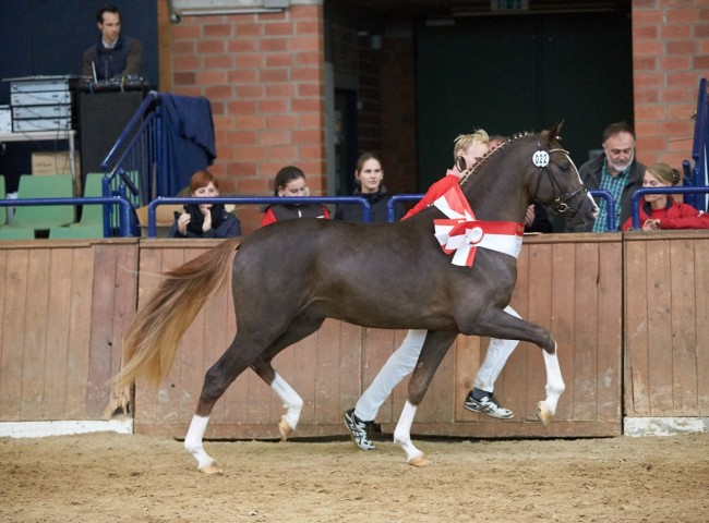 Numerus Clausus  Foto: Joachim Hecker