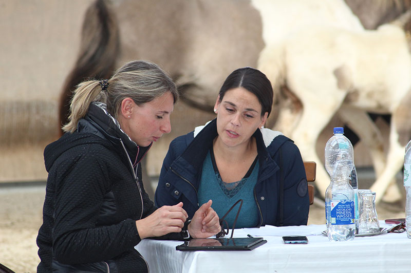Annika Wiescher und Nadine Hahn (links) konnten bei der Fohlenprüfung von Familie Reister in Zweibrücken viele gute Fohlen bewerten.