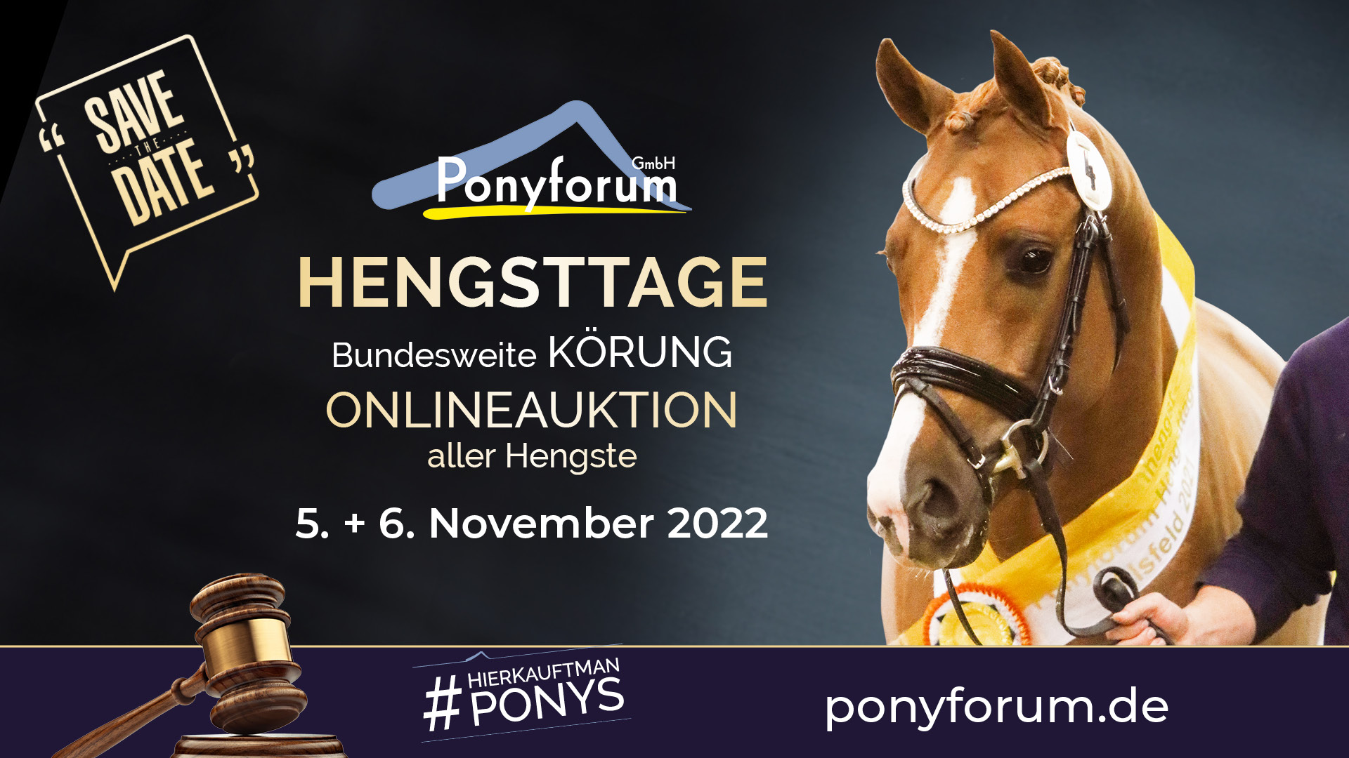 Ponyforum Hengsttage