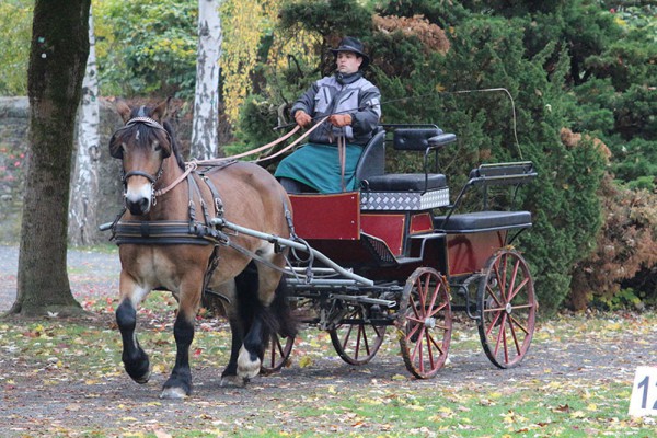 Fiona gefahren von Mario Kresse