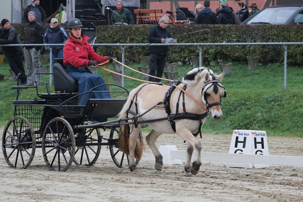 Vikkelsoes Urea  mit ihrer Fahrerin  Kathi Neuß