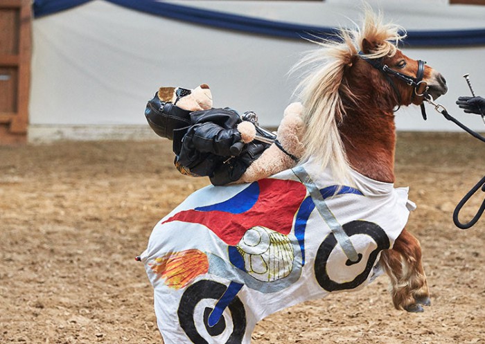 Bärchi der wilde Reiter hatte die Lacher auf seiner Seite