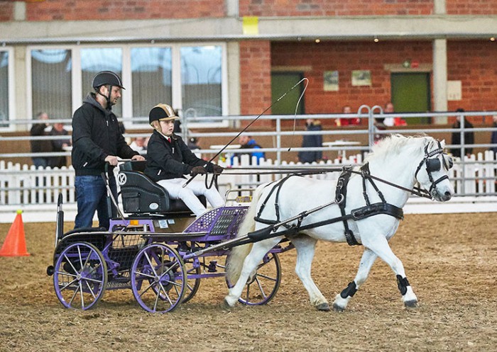Max Andrew und sein Welsh Mountain Hengst Leybuchts Pierre gehörten zu den Publikumslieblingen