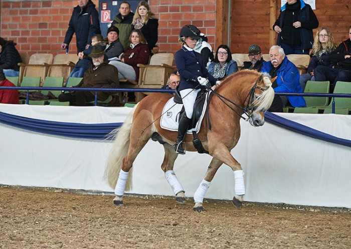 Nicole Stichel und Allgaier machten Werbung für die Rasse Edelbluthaflinger