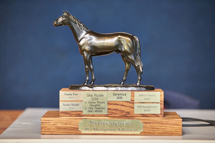 Begehrte Trophäe: Der Stutenpreis der IG Reitpony Hessen