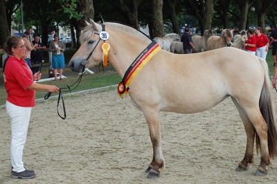 Apple Crumble , Bundessiegerin der jungen Flordstuten