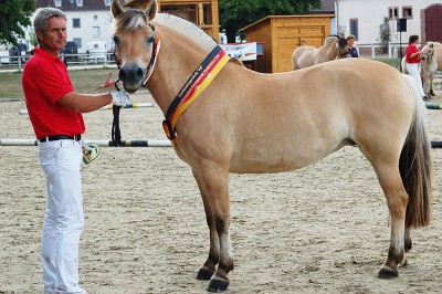 Die bewegungsstarke Lalelu LGKS sicherte sich den Bundessiegertitel der älteren Stuten