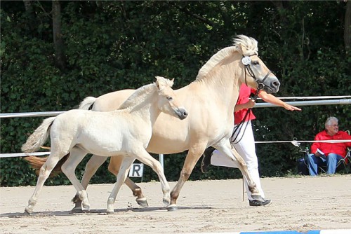 1a Su Su v. Dexter BPrH VEH