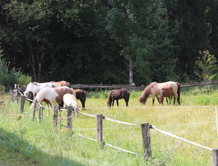 Gleich geht´s los in Bad Laasphe