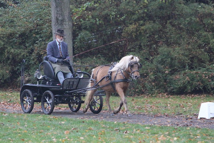 Franka vom Schedetal zeigte durchweg gute Leistungen