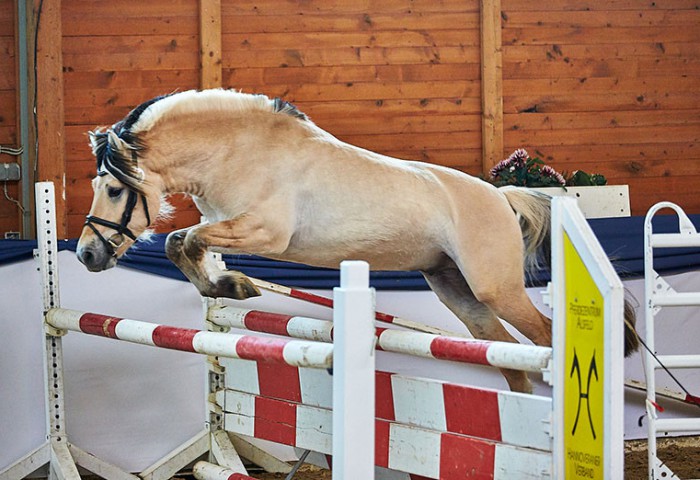 Oddvar Granlygaard (Fjord)