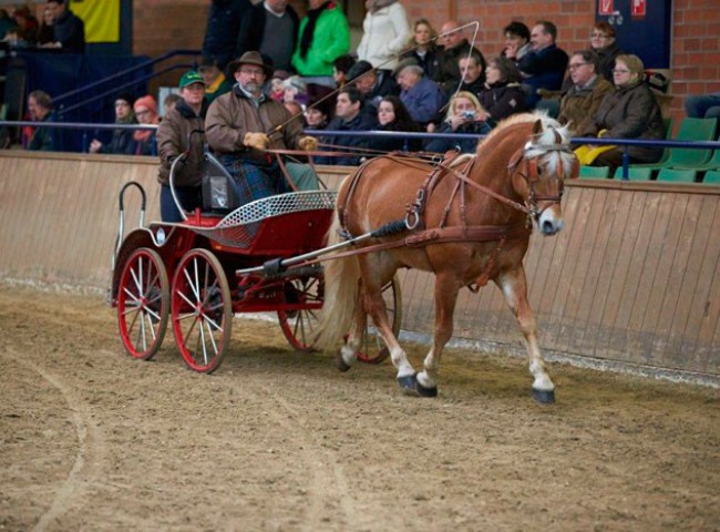 Anovis-und-Franz-Scharf-volle-Konzentration