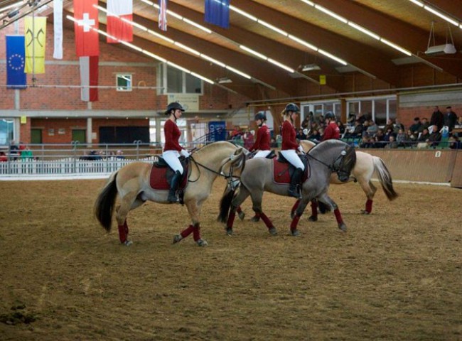 Die-Girls-vom-Fjordteam-Neuss-präsentierten-die-Hengste-Bram,-Ilmar,-Marlon-und-Ragnir-in-einer-neu-einstudierten-Quadrille