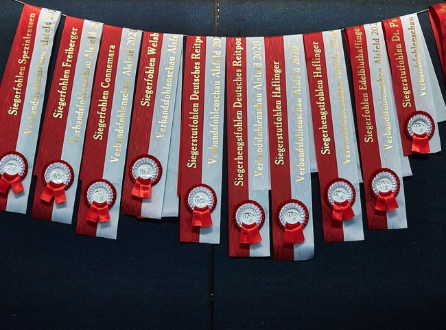 Viele Schärpen für die Siegerfohlen
