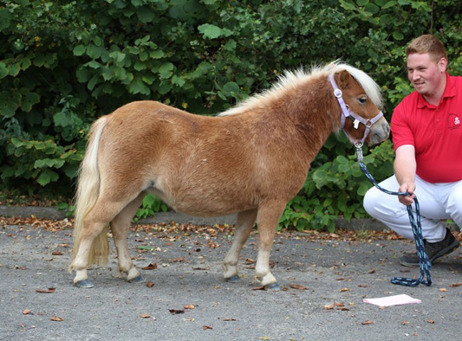 Annegret-aus-dem-Rehbachtal