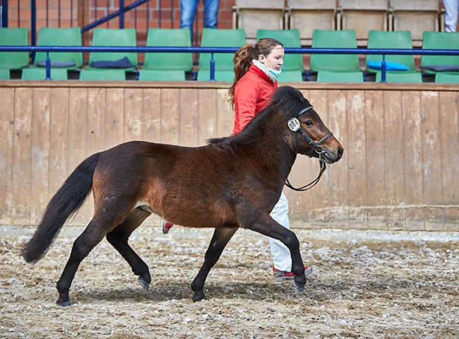 Fritzi aus dem Spessart