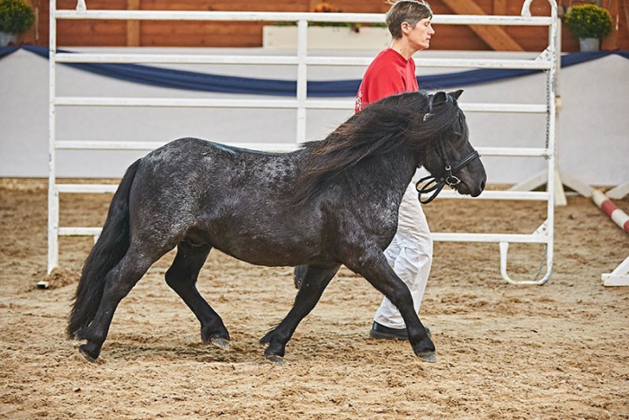 Mr. Blue v. d. Hoorn