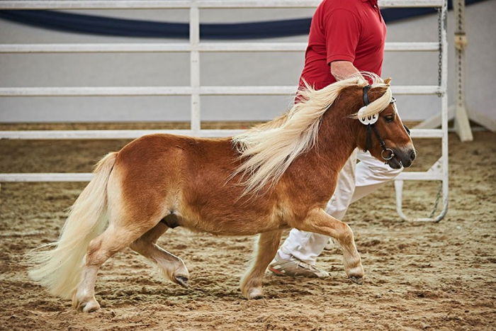 Noah van Stal Wolfsplein