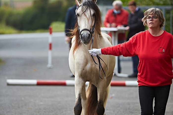 Nye Lille Ejlstrups Troubadour