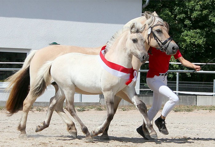 10-Ulani