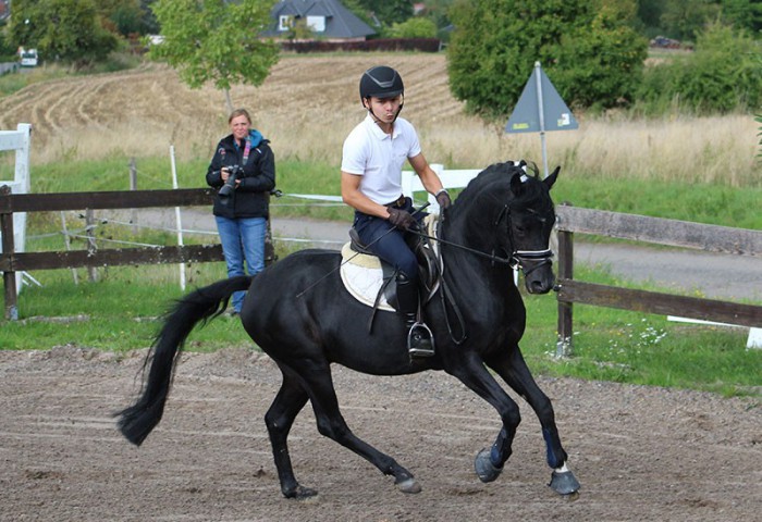 Dark Rubin mit Till Gaab im Parcours