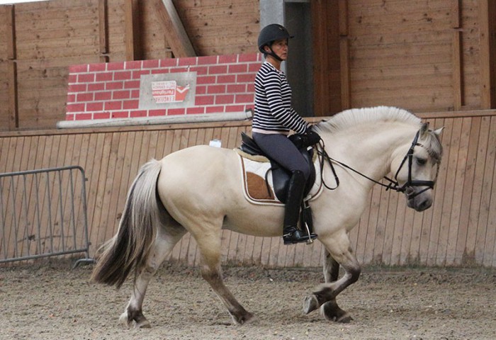 Gamleskolens Thule mit Dorothee Lehan