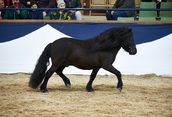 Carlos vom Orphalgrund