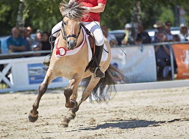 2023MueckePonyJub0031