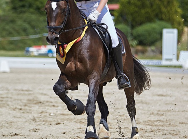 2023MueckePonyJub0039