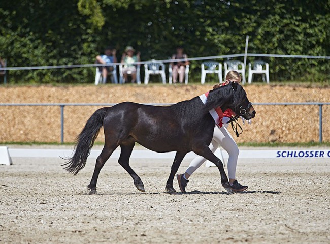 2023MueckePonyJub0079