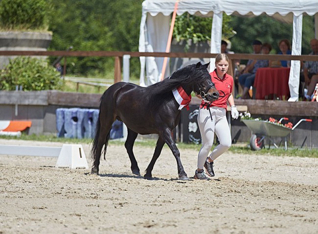 2023MueckePonyJub0080