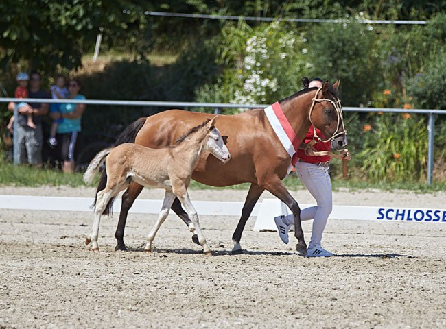 2023MueckePonyJub0091