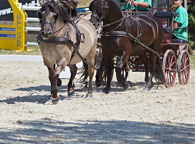 2023MueckePonyJub0097