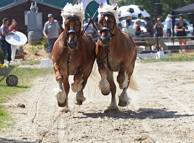 2023MueckePonyJub0113