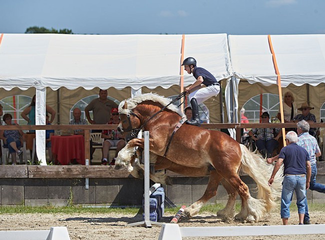 2023MueckePonyJub0118