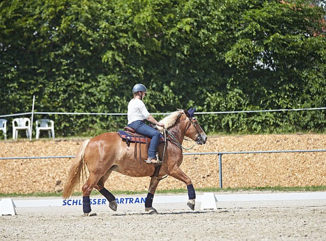 2023MueckePonyJub0136