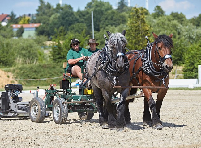 2023MueckePonyJub0148