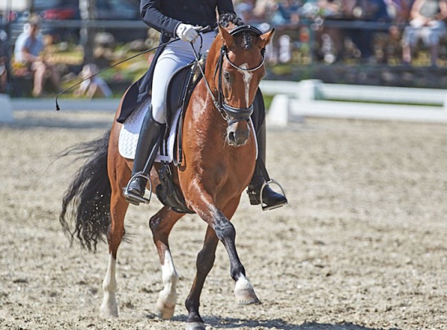 2023MueckePonyJub0173