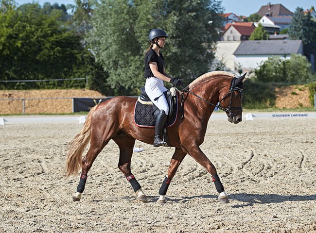 2023MueckePonyJub0206