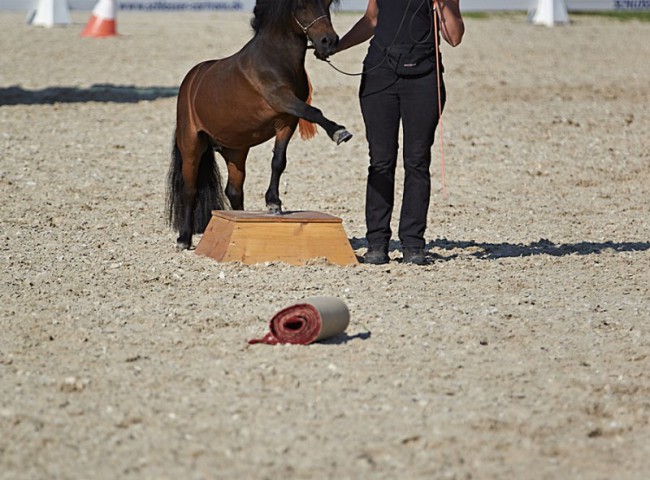 2023MueckePonyJub0227