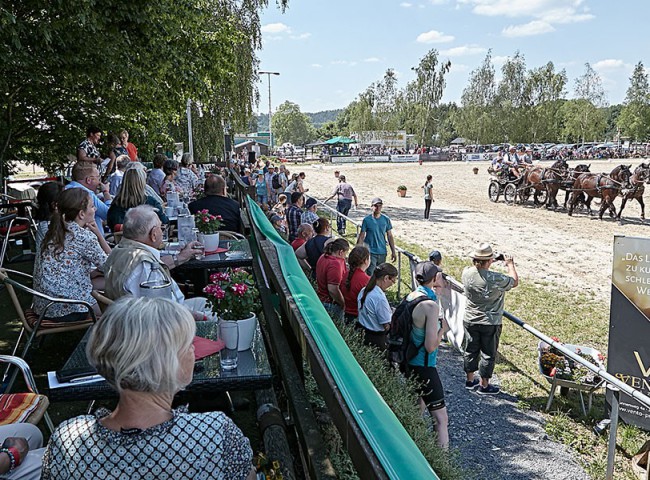 2023MueckePonyJub0260