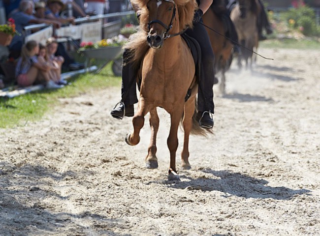 2023MueckePonyJub0274