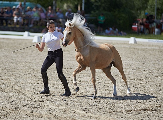 2023MueckePonyJub0279