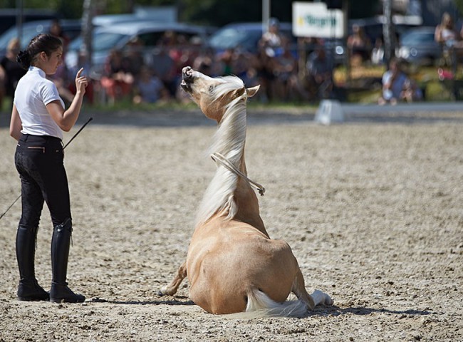 2023MueckePonyJub0281