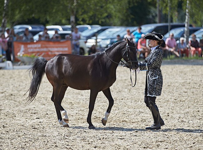 2023MueckePonyJub0291